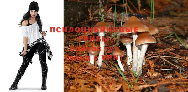 МДПВ Алексеевка