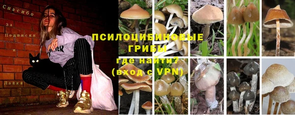 MDMA Premium VHQ Алзамай