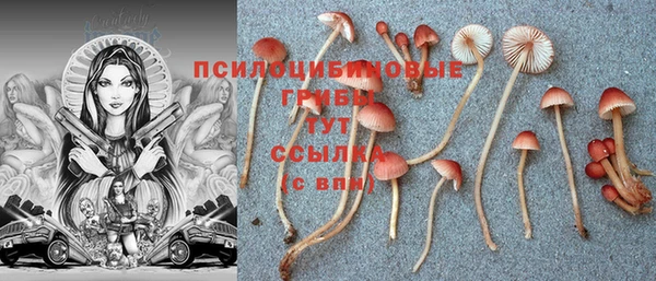 МДПВ Алексеевка